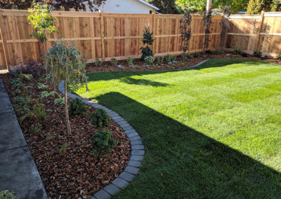 plantbed design and layout